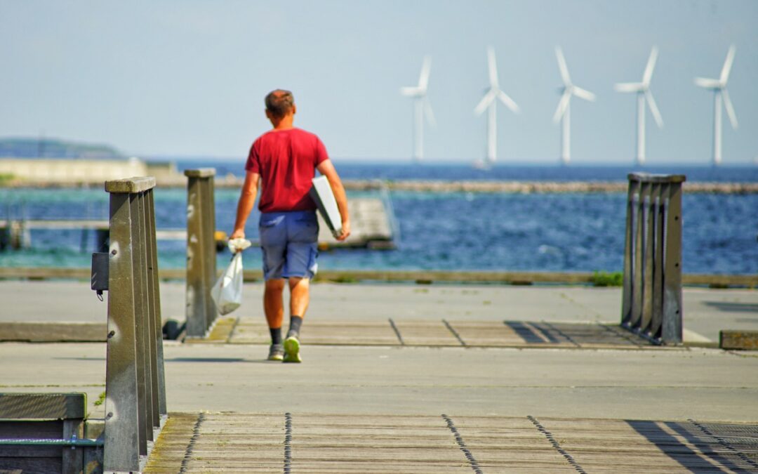 Energetyka odnawialna w Gdyni: farmy wiatrowe, panele słoneczne na budynkach publicznych i magazynowanie energii