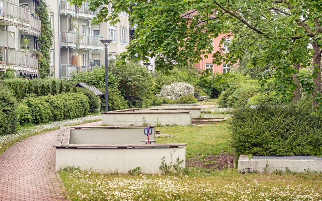 Rozwój przestrzeni zielonych w Gdyni – fakty i perspektywy